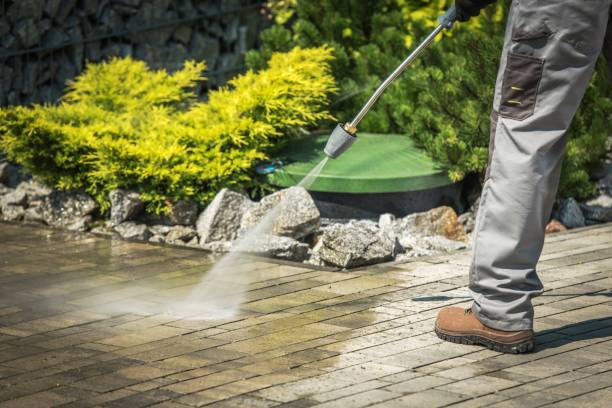 Pre-Holiday Cleaning in Crownsville, MD